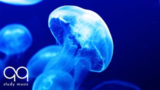 Beautiful Aquarium amp Ambient Music – Soothing Aquarium Sounds with Underwater Background [upl. by Eizzo]