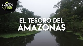 LOS MISTERIOS DEL AMAZONAS LA SELVA MÍSTICA  CaminanTr3s El tercero eres tú [upl. by Eilzel267]