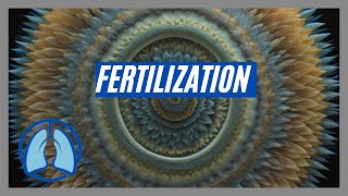 Understanding Fertilization [upl. by Eidroj781]