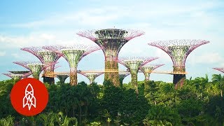 Visit Singapores Stunning Grove of ManMade Trees [upl. by Nicholson]