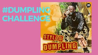 DUMPLINGCHALLENGE  Lyrical Challenge Info Below [upl. by Norahs]