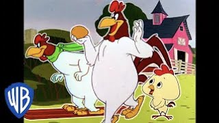 Looney Tunes en Latino  El Gallo Claudio en la granja  WB Kids [upl. by Nyleek]