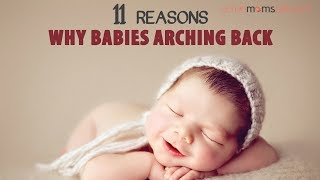 11 Reasons Why Babies Arching Back  ActiveMomsNetwork [upl. by Dabbs]