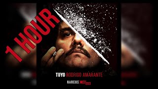 NARCOS MEXICO  TUYO  RODRIGO AMARANTE  1 HOUR VERSION [upl. by Thayer]