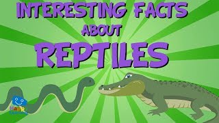 INTERESTING FACTS ABOUT REPTILES  Educational Video for Kids [upl. by Apul322]