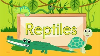 Reptile Song [upl. by Ueihttam]