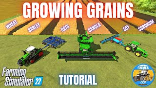 HOW TO GROW GRAINS  Farming Simulator 22 [upl. by Izzy]