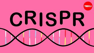 CRISPR Explained Gene Editing History Technology and Applications [upl. by Ecirtahs247]