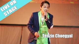 Tibetan song  Ngatso bhoe kyi drogpa  Live Concert f Tenzin Choegya [upl. by Enoed738]