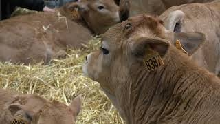 Retrouvez le Val dOise au Salon de lagriculture 2025 [upl. by Gnihc]