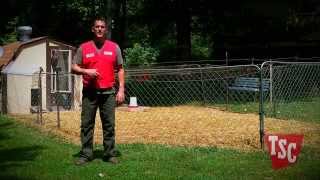 How to Prevent and Treat Coccidiosis in Chickens  Chicken Care  Tractor Supply Co [upl. by Candida]