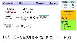 SAL II OXOSALES Parte 3 facil [upl. by Padraic193]