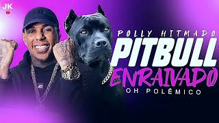 PITBULL ENRAIVADO  OH POLÊMICO [upl. by Nedaj]