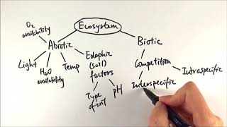 A2 Biology  Factors affecting an ecosystem OCR A Chapter 231 [upl. by Tila321]