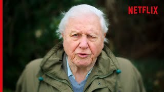 Sir David Attenborough On The Devastating Truth About Coral Reefs [upl. by Grove360]