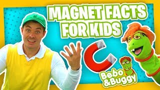 Facts About Magnets For Kids with Bebo and Buggy [upl. by Naut]