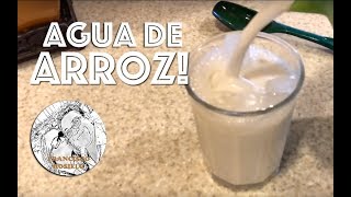 Agua de Arroz  Agua de Horchata [upl. by Gertie379]