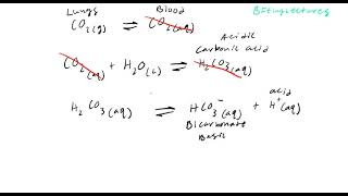 Biochemistry Lecture 3 Physiological Buffers [upl. by Sperry147]