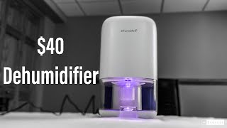 Portable Dehumidifier Review [upl. by Atekram]