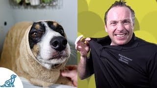 Simple Hacks To Bath Your Dog  Professional Dog Training Tips [upl. by Attalie928]