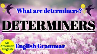 DETERMINERS  What are DETERMINERS  English Grammar  Intermediate  All American English [upl. by Tatum531]