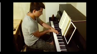 Schumann practice papillons etudes [upl. by Doane77]