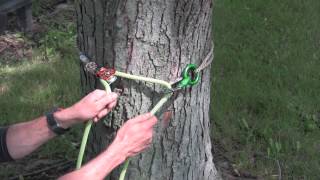 USLING Tree Climbing Tool [upl. by Lette]