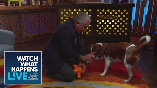 EXCLUSIVE Cesar Millan Teaches Andy and Wacha New Tricks  WWHL [upl. by Jessey]