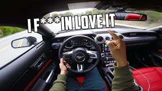 2019 Mustang GT First Drive Impressions [upl. by Penny]