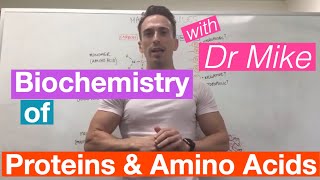 Proteins amp Amino Acids  Biochemistry [upl. by Onyx59]