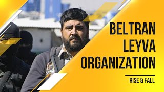 Cartel  Beltran Leyva Organization Rise amp Fall [upl. by Payton]