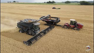 Illinois Wheat Harvest amp Double Crop Soybean Planting [upl. by Bratton]