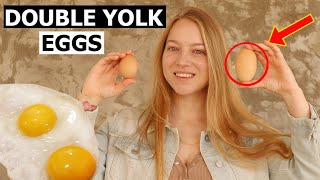 DOUBLE YOLK EGGS  Why Chicken Laid Double Yolked Egg [upl. by Euqinahs235]