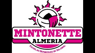 WEFFERENT MINTONETTE ALMERIA IFA VS CD ALBAYYANA [upl. by Anitirhc]