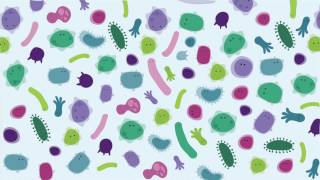 The HIDDEN World of Microbiomes [upl. by Aissat]