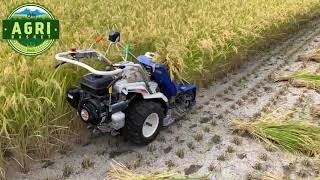 Driverless REAPER BINDER MACHINE Harvesting Paddy  Rice  Automatic Mini Reaper Binder Machine [upl. by Eliza99]