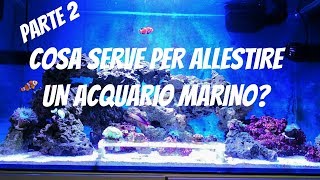 COME ALLESTIRE UN ACQUARIO MARINO 2° Parte Sabbia Rocce amp Batteri [upl. by Airun]