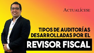 Auditorías que debe desarrollar todo revisor fiscal [upl. by Yrocaj]