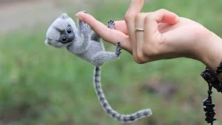 10 Cutest Exotic Animals In The World [upl. by Melina]