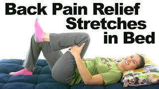 Back Pain Relief Stretches – 5 Minute Real Time Routine [upl. by Luella278]