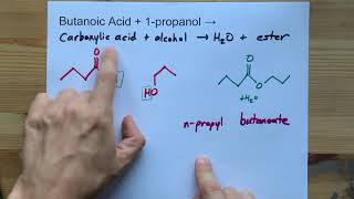 Butanoic Acid  Propanol  ESTER  water [upl. by Max628]