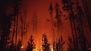 The Story Behind the Yellowstone Fires of 1988  Retro Report  The New York Times [upl. by Yahska]