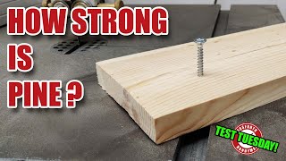 Exactly how strong is PINE wood [upl. by Odidnac]