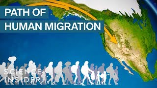 Map Shows How Humans Migrated Across The Globe [upl. by Yklam]