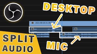 How to Record Microphone and Desktop Sound Separately in OBS [upl. by Ondrea]