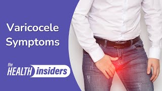 Varicocele Symptoms and Causes [upl. by Eveivaneg347]