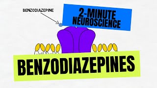 2Minute Neuroscience Benzodiazepines [upl. by Victorie]