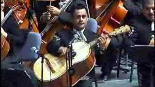 VIOLIN HUAPANGO MARIACHI VARGAS DE TECALITLAN [upl. by Pauwles680]