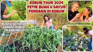 UPDATE KEBUNKU 2024 MAKIN LUAS amp MAKIN SUBUR [upl. by Eidur]