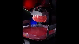 3D Printing Digital Dentures [upl. by Navoj]